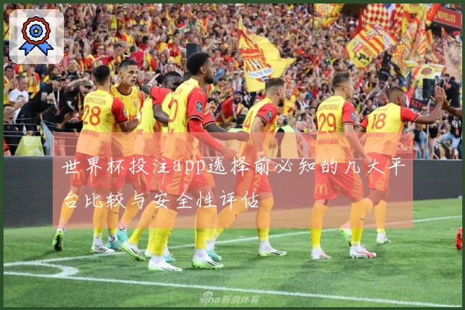 世界杯投注app选择前必知的几大平台比较与安全性评估