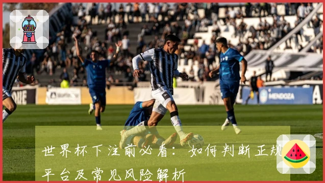 世界杯下注前必看：如何判断正规平台及常见风险解析