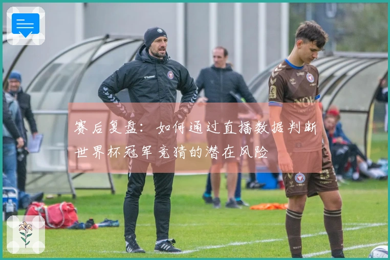 赛后复盘：如何通过直播数据判断世界杯冠军竞猜的潜在风险