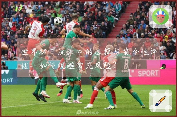 世界杯下注入口的选择与安全性评估，如何规避常见风险？