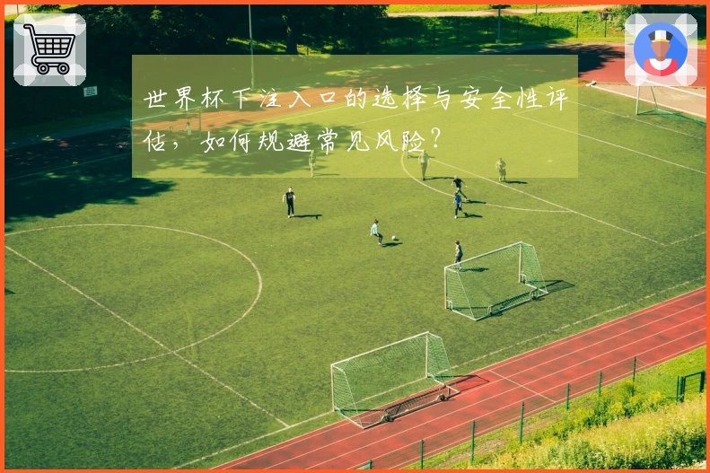 世界杯下注入口的选择与安全性评估，如何规避常见风险？