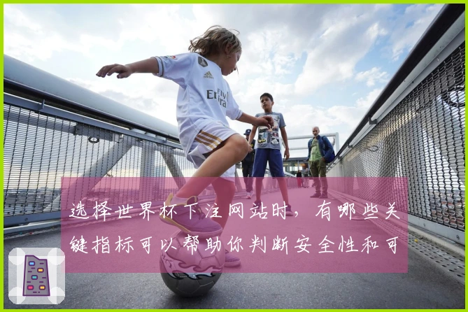 选择世界杯下注网站时，有哪些关键指标可以帮助你判断安全性和可靠性？