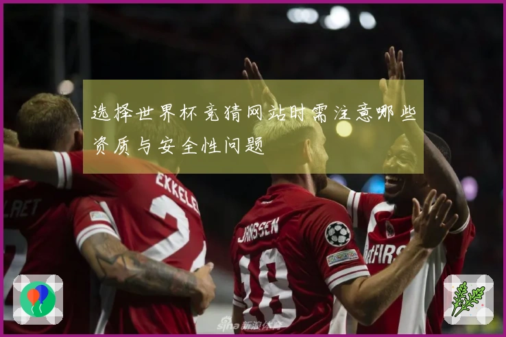 选择世界杯竞猜网站时需注意哪些资质与安全性问题