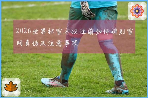 2026世界杯官方投注前如何辨别官网真伪及注意事项