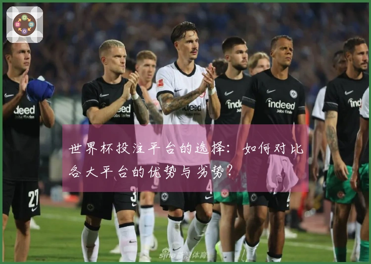 世界杯投注平台的选择：如何对比各大平台的优势与劣势？