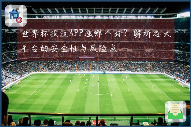 世界杯投注APP选哪个好？解析各大平台的安全性与风险点