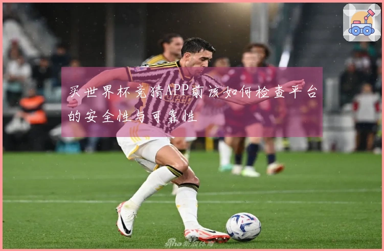 买世界杯竞猜APP前该如何检查平台的安全性与可靠性