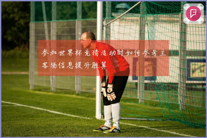 参加世界杯竞猜活动时如何参考主客场信息提升胜算