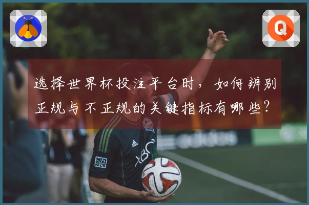 选择世界杯投注平台时，如何辨别正规与不正规的关键指标有哪些？