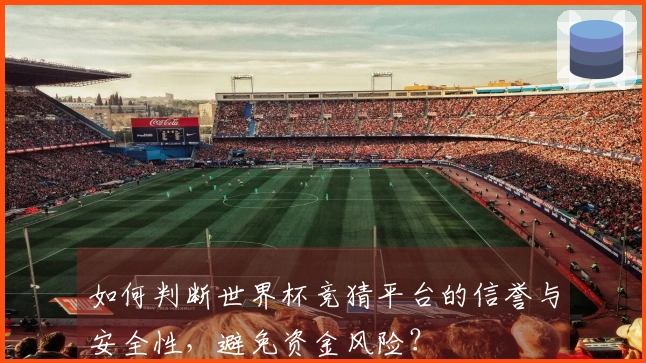 如何判断世界杯竞猜平台的信誉与安全性，避免资金风险？