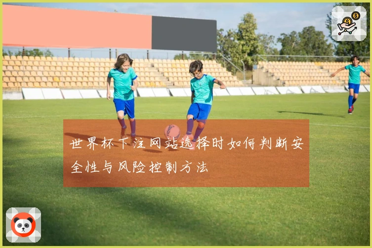 世界杯下注网站选择时如何判断安全性与风险控制方法