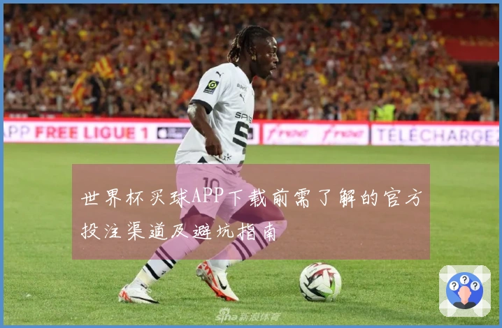 世界杯买球APP下载前需了解的官方投注渠道及避坑指南