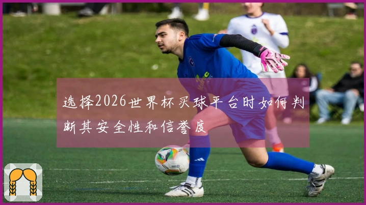 选择2026世界杯买球平台时如何判断其安全性和信誉度