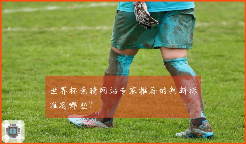 世界杯竞猜网站专家推荐的判断标准有哪些？
