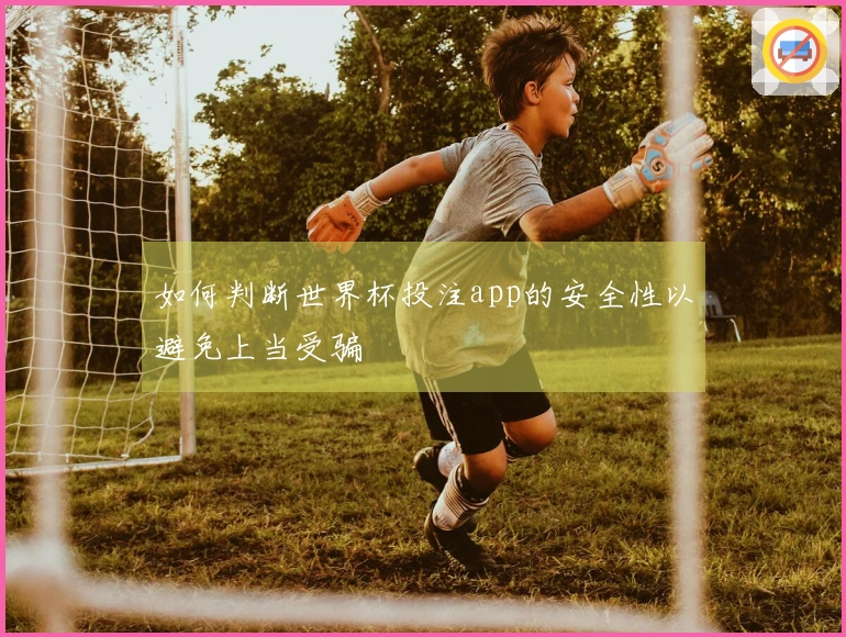 如何判断世界杯投注app的安全性以避免上当受骗