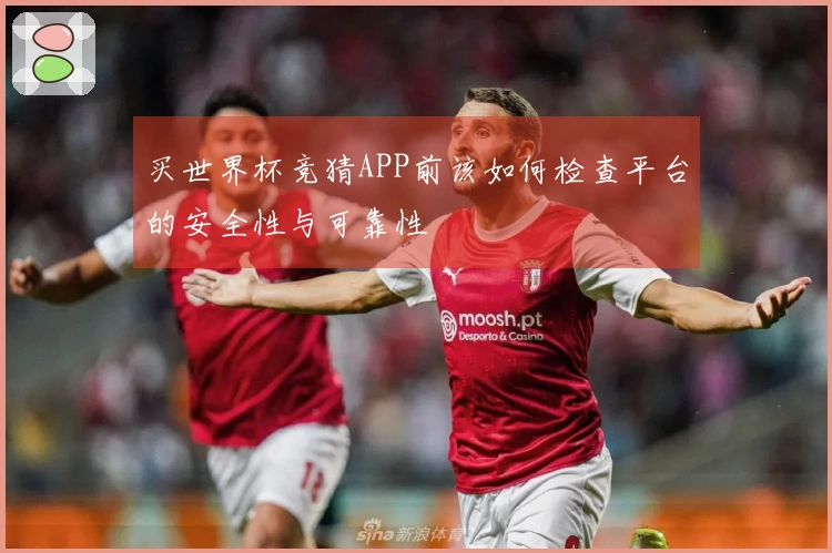 买世界杯竞猜APP前该如何检查平台的安全性与可靠性