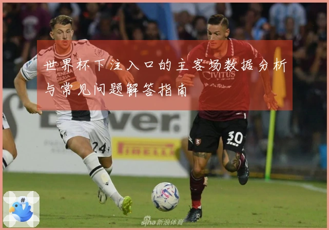 世界杯下注入口的主客场数据分析与常见问题解答指南