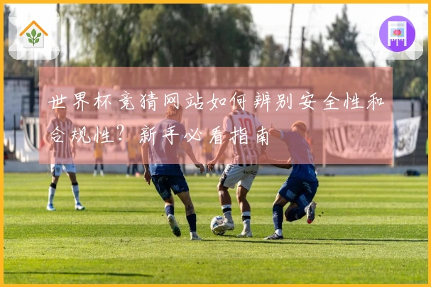 世界杯竞猜网站如何辨别安全性和合规性？新手必看指南