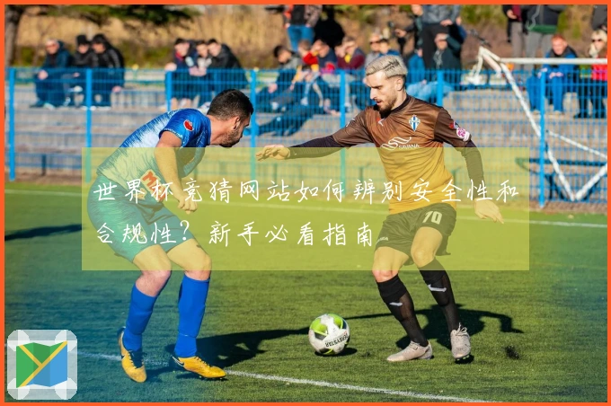 世界杯竞猜网站如何辨别安全性和合规性？新手必看指南