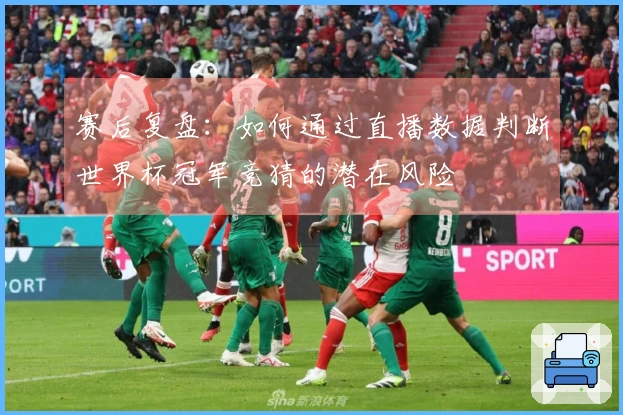赛后复盘：如何通过直播数据判断世界杯冠军竞猜的潜在风险