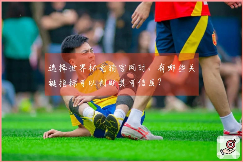 选择世界杯竞猜官网时，有哪些关键指标可以判断其可信度？