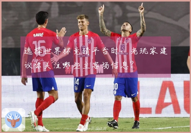 选择世界杯竞猜平台时，老玩家建议你关注哪些主客场信息？