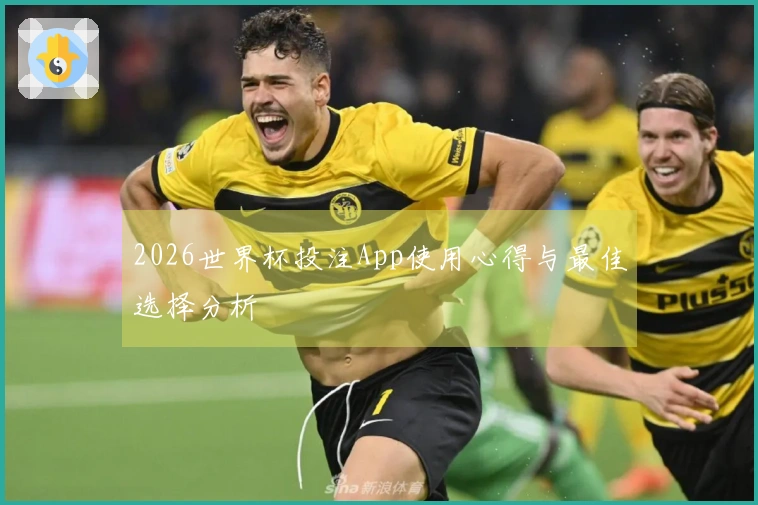2026世界杯投注App使用心得与最佳选择分析