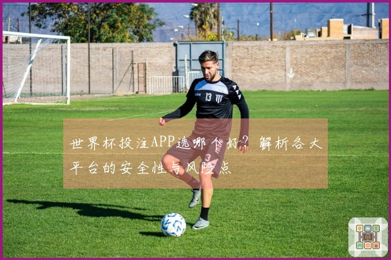 世界杯投注APP选哪个好？解析各大平台的安全性与风险点