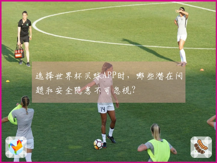 选择世界杯买球APP时，哪些潜在问题和安全隐患不可忽视？